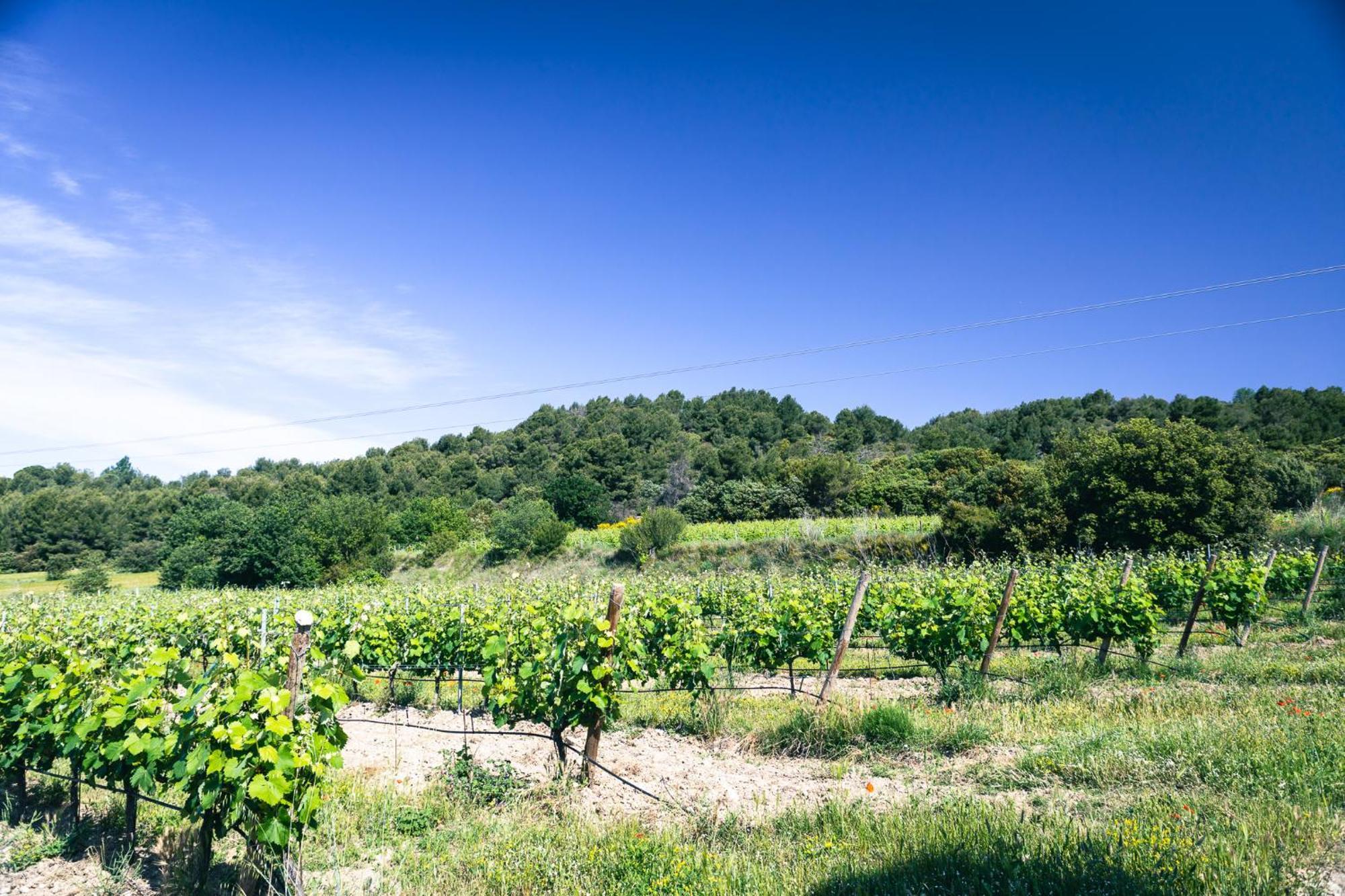 Domaine Des Peyre Leilighet Robion en Luberon Eksteriør bilde