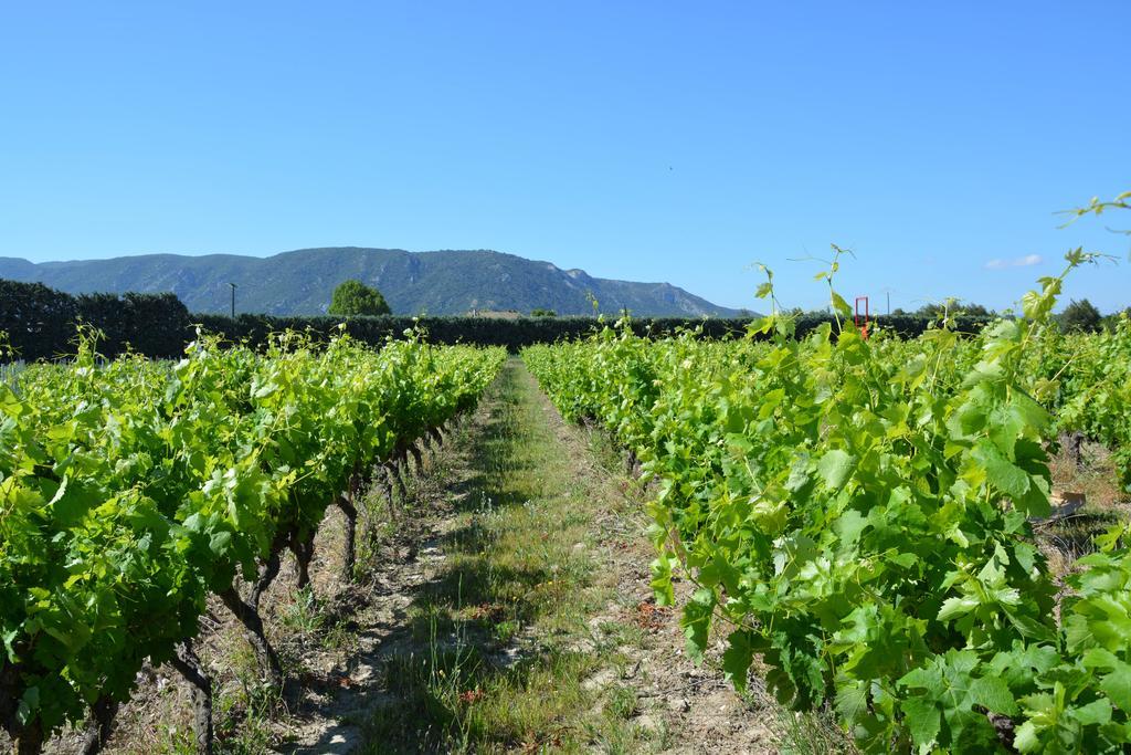 Domaine Des Peyre Leilighet Robion en Luberon Eksteriør bilde